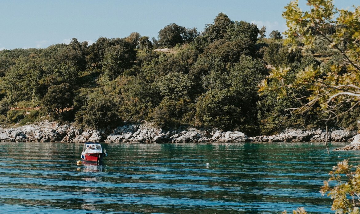 Ein kleines Boot fährt auf ruhigem, klarem Wasser entlang einer bewaldeten Küste. Die sanften Wellen reflektieren das Licht, während die üppige Vegetation im Hintergrund eine friedliche Atmosphäre schafft.