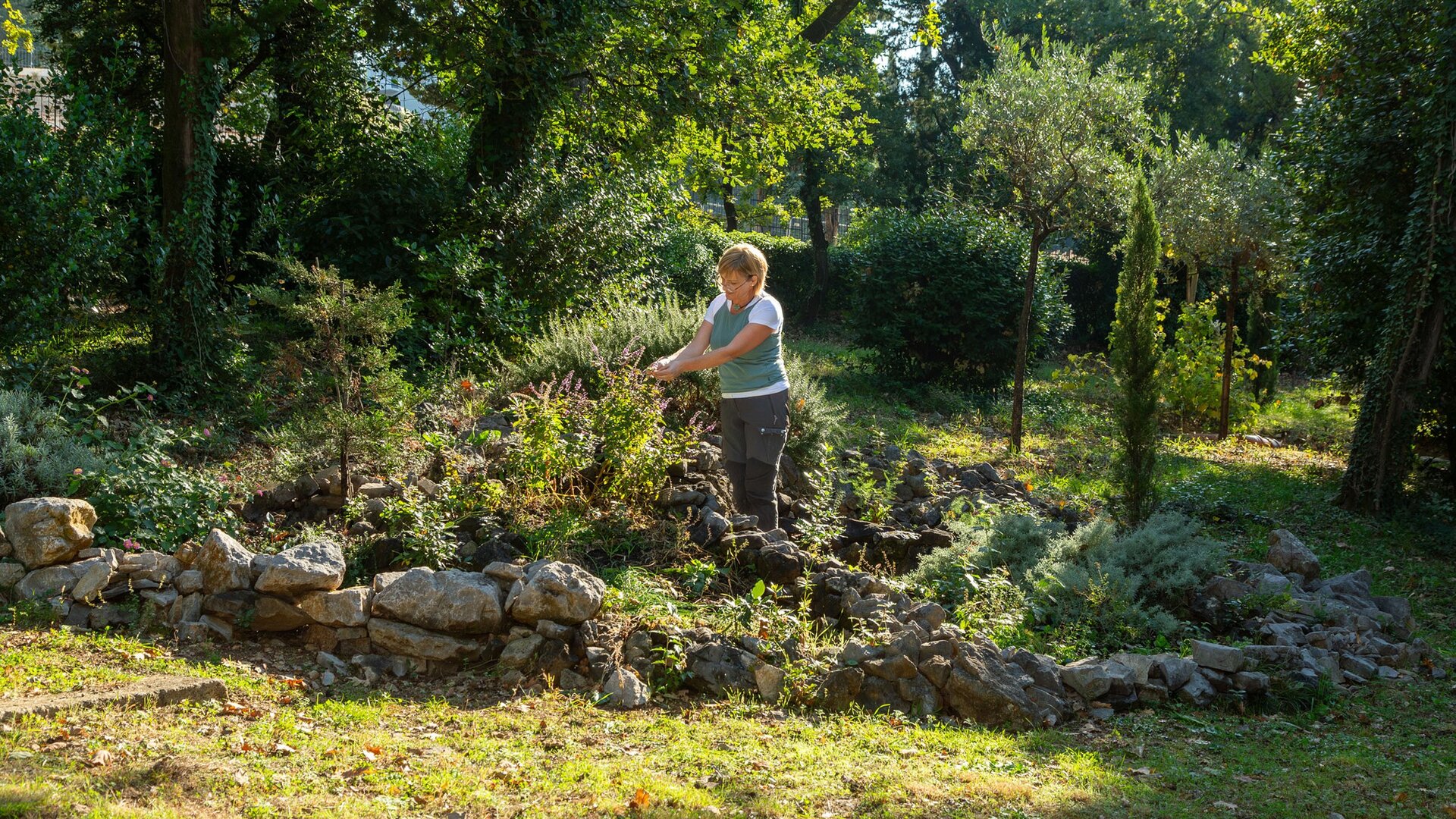 Eine Frau pflegt eine kleine Gartenlandschaft mit Steinen und verschiedenen Pflanzen. Umgeben von Bäumen und Sträuchern, arbeitet sie in einer ruhigen, grünen Umgebung. Die Sonne scheint und schafft eine angenehme Atmosphäre.