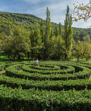 Eine Person steht in einem grünen Heckenlabyrinth, umgeben von hohen Bäumen und sanften Hügeln. Die Sonne scheint auf die lebendige Landschaft, die eine ruhige und einladende Atmosphäre schafft.