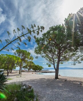 Ein sonniger Strand mit feinem Kies, umgeben von grünen Bäumen. Im Hintergrund glitzert das Wasser des Meeres, während einige Menschen am Ufer entspannen. Der Himmel ist blau mit einigen Wolken und Sonnenstrahlen, die durch die Bäume scheinen.