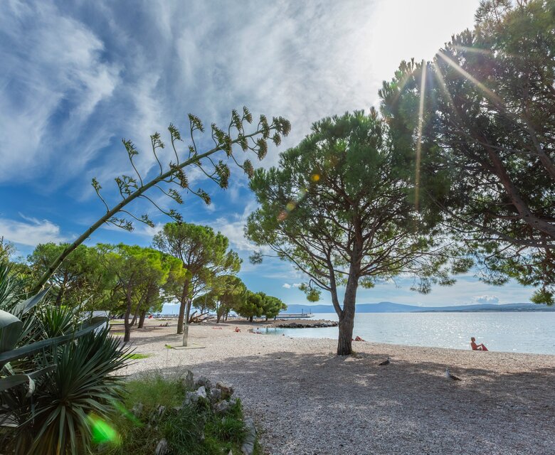 Ein ruhiger Strand mit feinem Kies, umgeben von grünen Bäumen und Sträuchern. Im Hintergrund glitzert das Wasser unter der Sonne, während einige Menschen entspannt am Ufer sitzen. Der Himmel ist blau mit einigen Wolken.