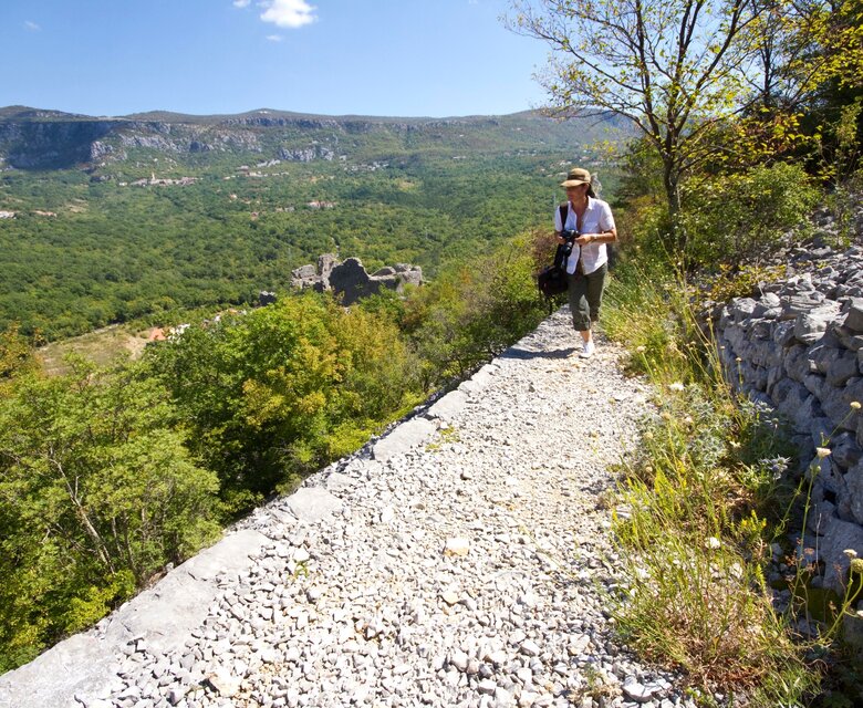 Eine Wanderin geht auf einem schmalen Kiesweg durch eine grüne Landschaft mit Bergen im Hintergrund. Die Umgebung ist von Bäumen und Sträuchern umgeben, und der Himmel ist klar und sonnig.