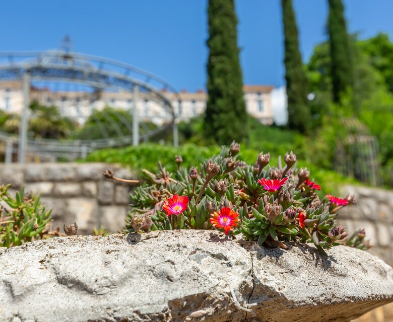 Bunte Blumen blühen auf einer Steinmauer, im Hintergrund sind hohe Zypressen und ein Gartenpavillon sichtbar. Der Himmel ist klar und blau, was eine sonnige und einladende Atmosphäre schafft.