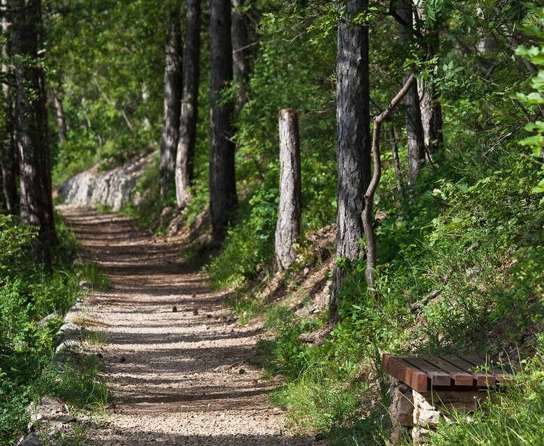 Ein schmaler, gepflasterter Wanderweg schlängelt sich durch einen grünen Wald. Hohe Bäume und Sträucher umgeben den Pfad, der von Sonnenlicht durchflutet wird. Auf der rechten Seite steht eine kleine Bank aus Holz, ideal für eine kurze Pause in der Natur.