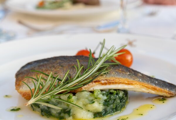 Ein elegant angerichteter Teller mit gebratenem Fisch, garniert mit Rosmarin, auf einem Bett aus Kartoffel-Spinat-Püree. Im Hintergrund sind verschwommen weitere Teller und Gläser zu sehen, die eine gehobene Atmosphäre vermitteln.
