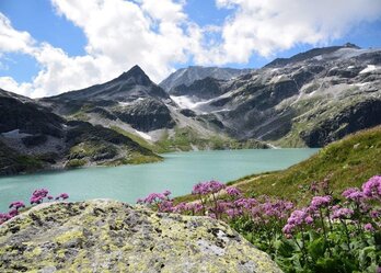 Ein malerischer Bergsee umgeben von hohen Bergen und üppigem Grün. Im Vordergrund blühen violette Blumen, während die Wolken am blauen Himmel vorbeiziehen. Die ruhige Wasseroberfläche spiegelt die majestätische Landschaft wider.