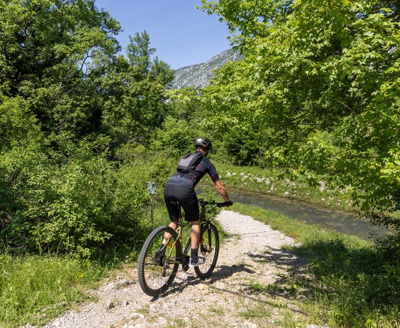 Ein Radfahrer fährt auf einem schmalen Weg entlang eines Flusses, umgeben von üppigem Grün und Bäumen. Die Sonne scheint, und die Landschaft wirkt einladend und naturnah.