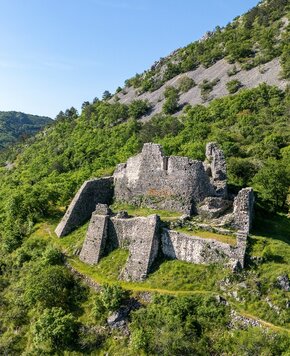 Eine alte Burgruine thront auf einem bewaldeten Hügel, umgeben von üppigem Grün. Die Steine der Ruine sind teilweise von Pflanzen überwuchert, während die Landschaft im Hintergrund sanfte Hügel und Bäume zeigt. Der Himmel ist klar und blau.