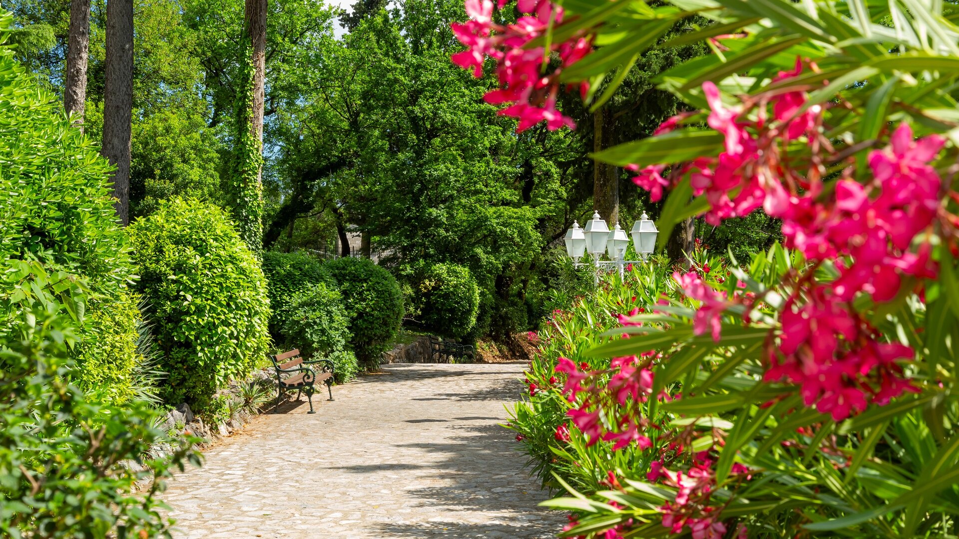 Ein malerischer Gartenweg, gesäumt von üppigem Grün und bunten, pinken Blumen. Im Hintergrund sind Bäume und eine Bank sichtbar, während sanftes Licht die friedliche Atmosphäre des Ortes betont.
