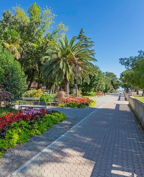 Ein sonniger Weg in einem Park, gesäumt von bunten Blumenbeeten und Palmen. Der gepflasterte Weg führt durch üppiges Grün und bietet eine einladende Atmosphäre für Spaziergänge. Im Hintergrund sind Bäume und eine ruhige Umgebung sichtbar.