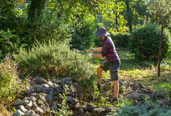 Eine Person schneidet mit einer Schaufel Sträucher in einem sonnigen Garten. Umgeben von üppigem Grün und bunten Blumen, zeigt die Szene eine entspannte, naturnahe Atmosphäre.