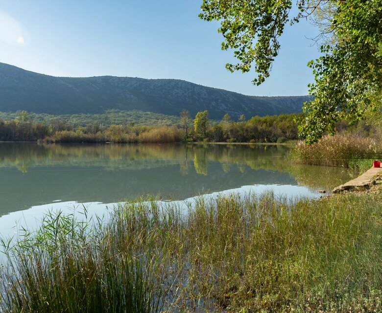 Ruhiger See mit spiegelndem Wasser, umgeben von sanften Hügeln und üppigem Grün. Am Ufer wachsen hohe Gräser und Sträucher, während ein kleiner Steg ins Wasser führt. Die Atmosphäre ist friedlich und einladend.