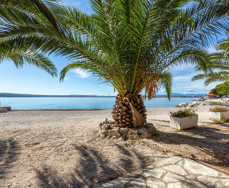 Ein sonniger Strand mit Palmen im Vordergrund, die sanft im Wind wiegen. Im Hintergrund erstreckt sich das ruhige Wasser des Meeres und eine malerische Küstenlinie. Der Himmel ist klar und blau, was eine entspannte Urlaubsatmosphäre schafft.