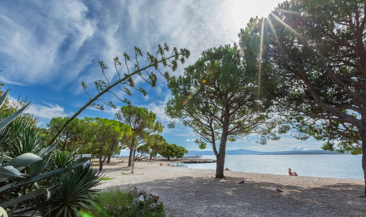 Ein sonniger Strand mit feinem Kies, umgeben von grünen Bäumen und Pflanzen. Im Hintergrund ist das ruhige Wasser des Meeres zu sehen, während einige Menschen am Strand entspannen. Der Himmel ist blau mit einigen Wolken.