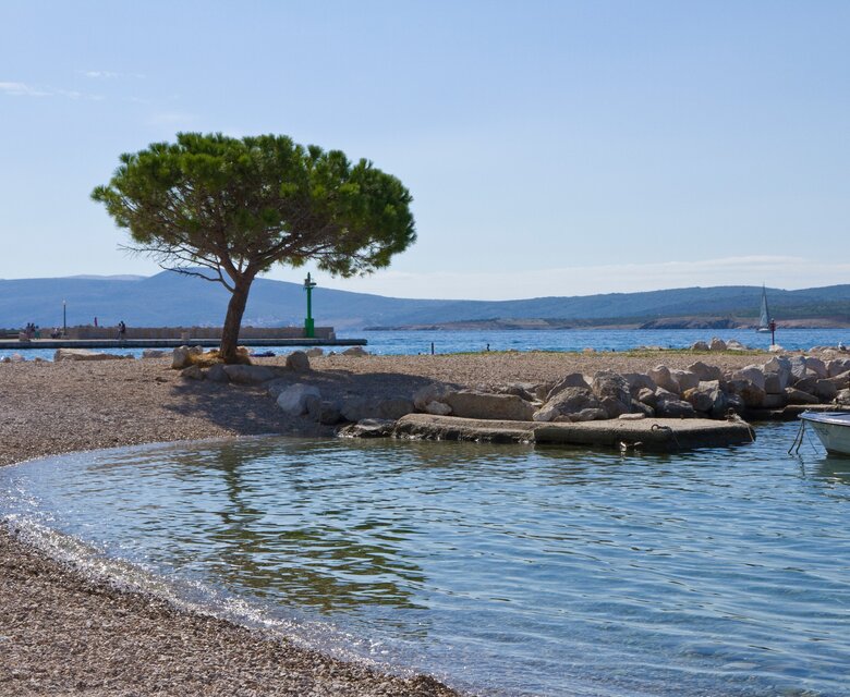 Ein ruhiger Strand mit feinem Kies, einem einzelnen Baum in der Nähe des Wassers und einem klaren, blauen Meer. Im Hintergrund sind sanfte Hügel und ein kleiner Hafen mit einem grünen Leuchtturm sichtbar.