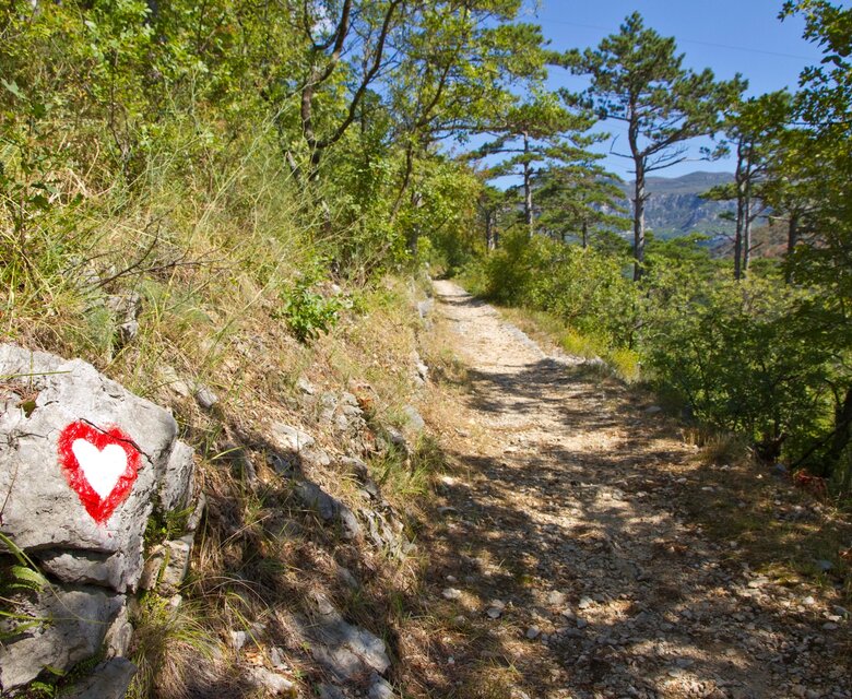Ein malerischer Wanderweg, umgeben von üppigem Grün und Bäumen. Auf einem Felsen am Wegesrand ist ein rotes Herz gemalt. Der Weg führt sanft in die Ferne, unter einem klaren blauen Himmel.