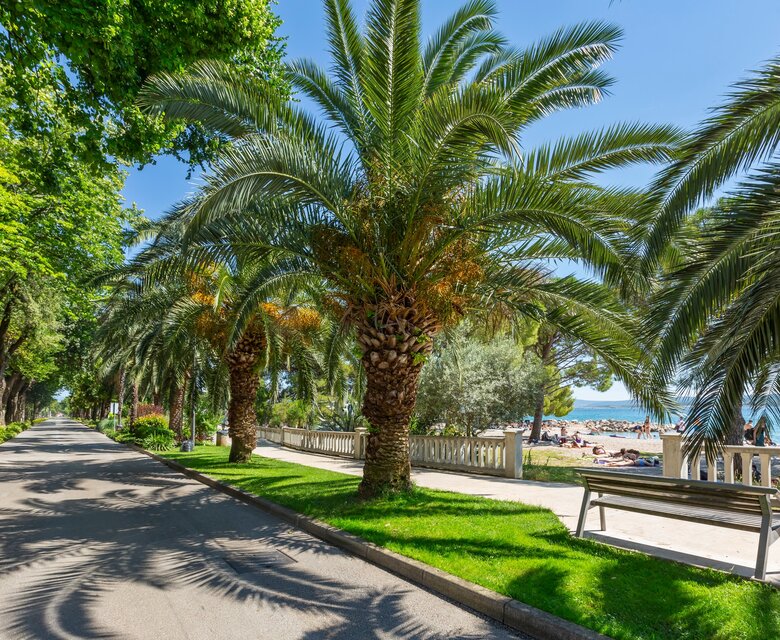 Ein sonniger Weg gesäumt von Palmen und grünen Bäumen, der zum Strand führt. Im Hintergrund sind Menschen am Strand zu sehen, während eine Bank zum Verweilen einlädt. Die Atmosphäre ist entspannt und einladend.