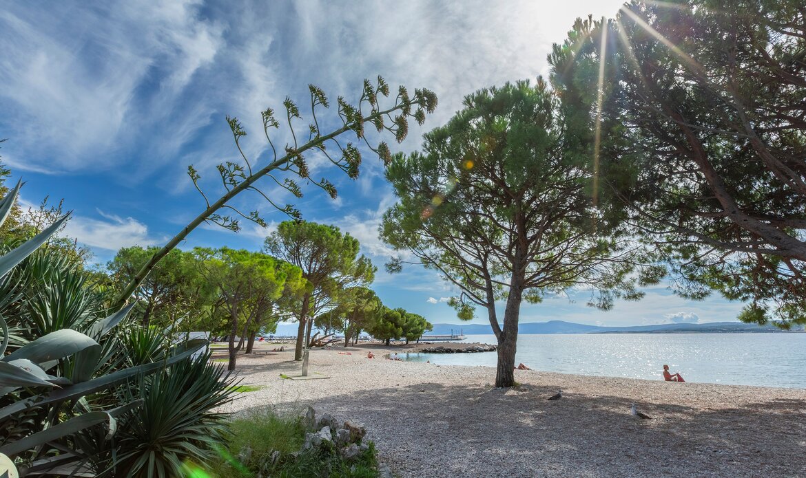 Ein ruhiger Strand mit feinem Kies, umgeben von grünen Bäumen und Sträuchern. Im Hintergrund glitzert das Wasser unter einem blauen Himmel mit einigen Wolken. Eine Person sitzt entspannt am Strand und genießt die Aussicht.
